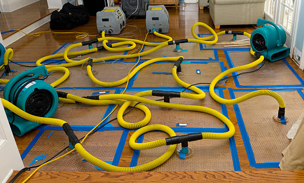 Professional Sewage Cleanup technician working in Herman, NE